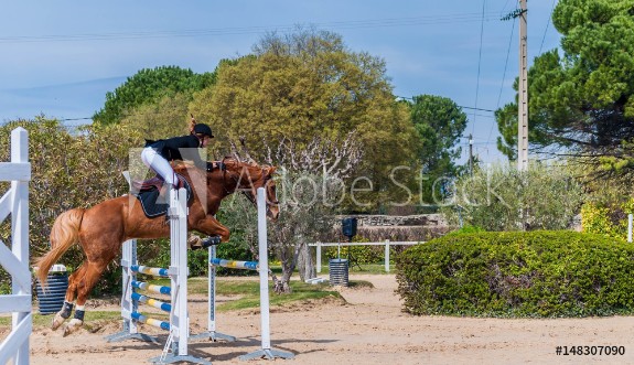 Picture of Equitation saut dobstacles comptition